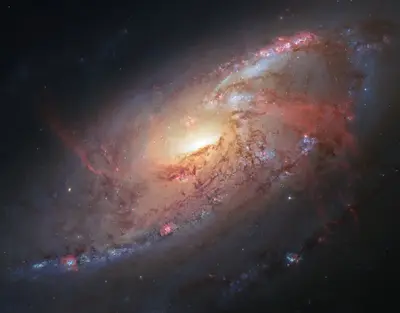 Die Spiralgalaxie Messier 106 mit ausgedehnten Spiralarmen im Sternbild Jagdhunde