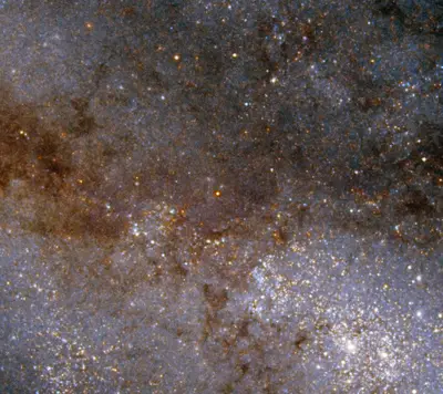 Ein Ausschnitt der fast von der Kante gesehenen Balkenspiralgalaxie Messier 108 mit dunklen Staubbändern