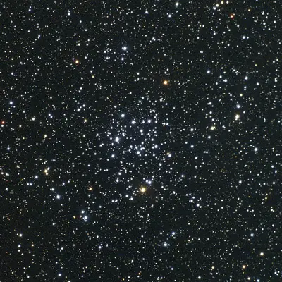Der offene Sternhaufen Messier 50 (NGC 2323) im Sternbild Einhorn, ein herzförmig wirkender Haufen junger Sterne.