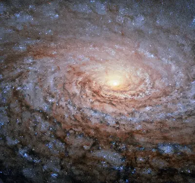 Hubble-Aufnahme der Sonnenblumengalaxie M63 mit gelbem Kern und vielen kurzen, flockigen Spiralarmen