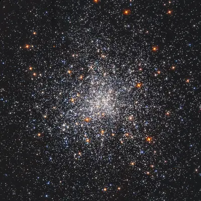 Hubble-Aufnahme des dicht gepackten Kugelsternhaufens M79 mit weißen und orangefarbenen Sternen, die zur Mitte hin verdichtet sind