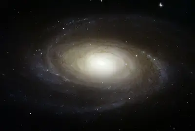 Hubble-Aufnahme der Grand-Design-Spiralgalaxie M81 mit klar ausgeprägten Spiralarmen und hellem Zentralbereich