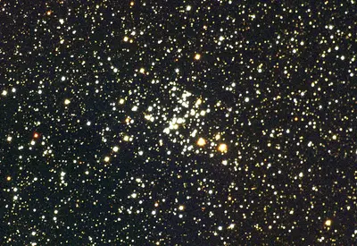 Der kompakte offene Sternhaufen Messier 93 (NGC 2447) im Sternbild Achterdeck des Schiffs, eine dichte keilförmige Gruppe von Sternen.